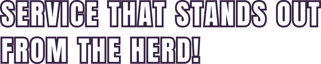 Service that stands out from the herd!